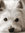 Sam | 8 comments
