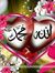 Waqas M...