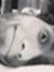 Fadi Zkzk