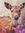Book Fawns
