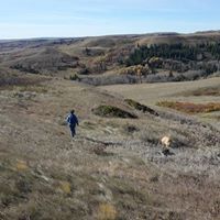 अभिषेक कुमार