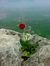 Mariam ...