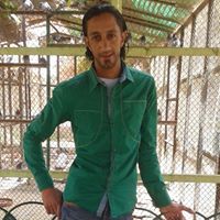 محمد فرجانى