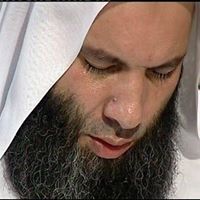 محمود عبدالهادى