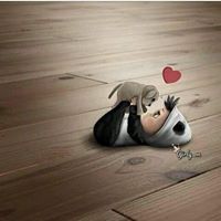 Enas Alsayed