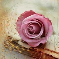 إبداع الحروووف