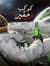 ياسر عامر
