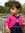 Haris Khan