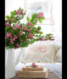 نداء الأقصى