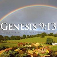 Nicki Becker Stallard