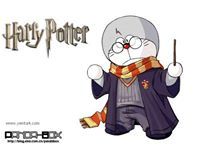 ขายชิบ เท็กซัส