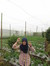 Faidza