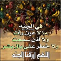 قرانى نجاتى