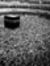 Elham E...