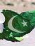 Yasir S...