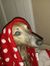 Jutta S...