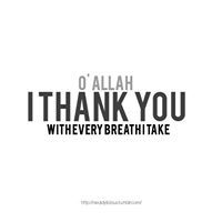 Abd-Elhaleem Youssef