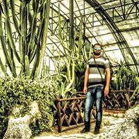 علي الشويلي