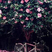 جيسيكا روبنسون