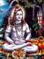 Siva Frds