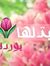 حياة الزناتي