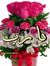 Marwa E...