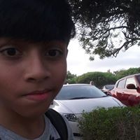 Ali Shakeel