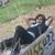 Waseem Arif