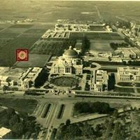 عمر الهوارى