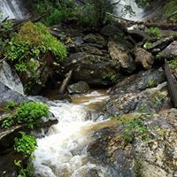 Alessandro Prevedello