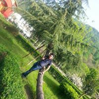 عقيل البدري