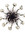 Chris Morey | 6 comments