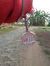 Mirza M...