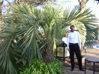 Петър Чомаков