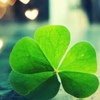 Khôi Nguyễn Hồ Vũ