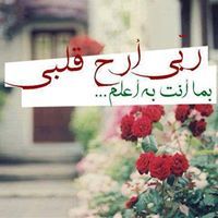Rahaf Elshikh