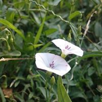 عبدالملك الهيملي