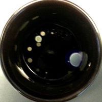 Alexandre Wilson Bisson Filho