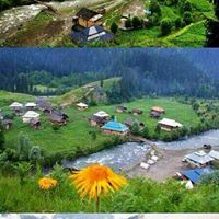 سامي ابوسعود