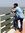Rohit P...
