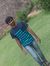 Raja Reddy