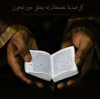 ذات النطاقين