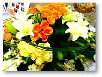 هاشمية قرشية