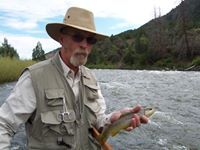 Darrell D. Warner