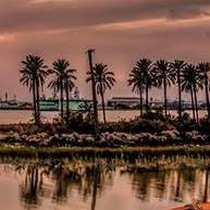 شهاب البصري