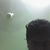 Lalith Gopal
