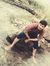 Shashi ...