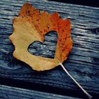 هبة الاورفه لي