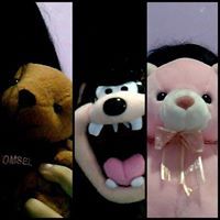 Haldhianty R