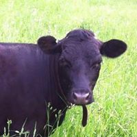 Sheri TheHerdkeeper